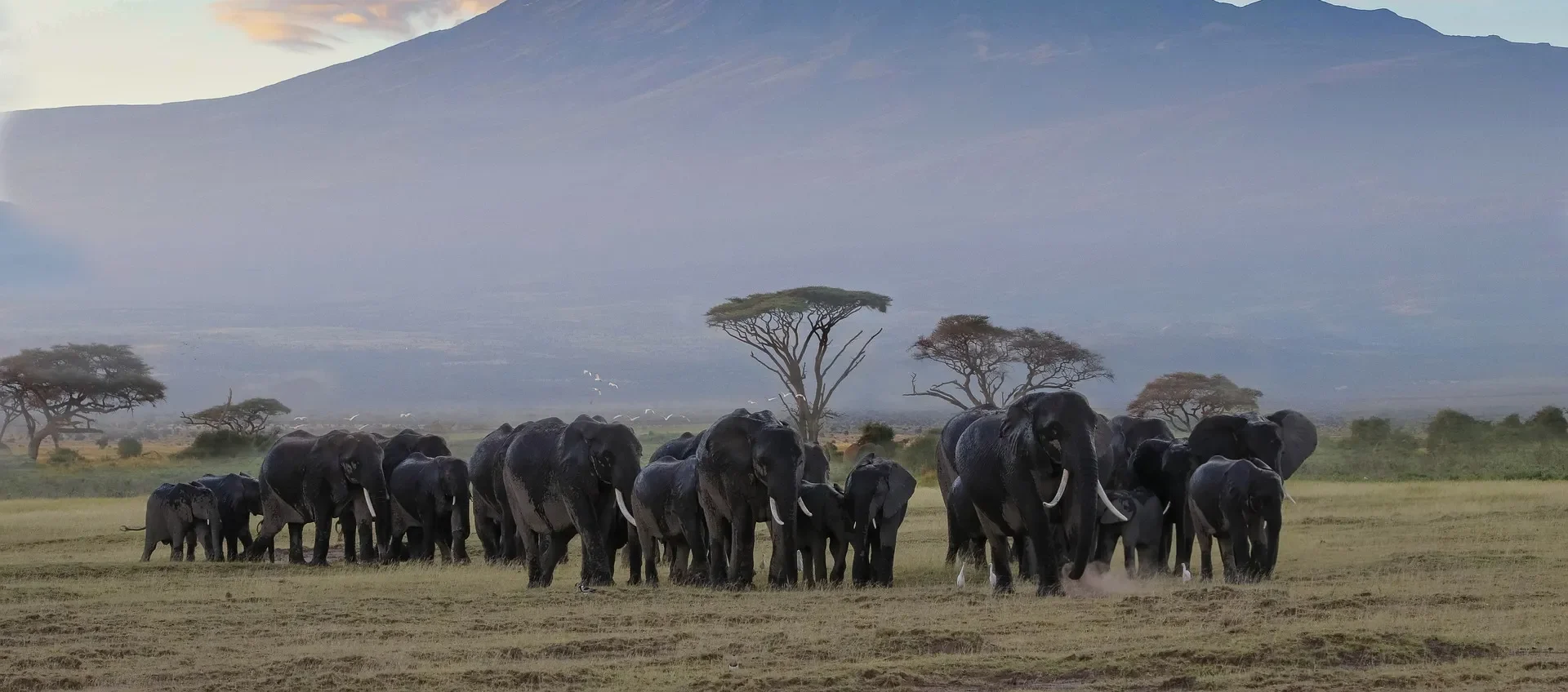 Itinerario di 12 Giorni in Tanzania