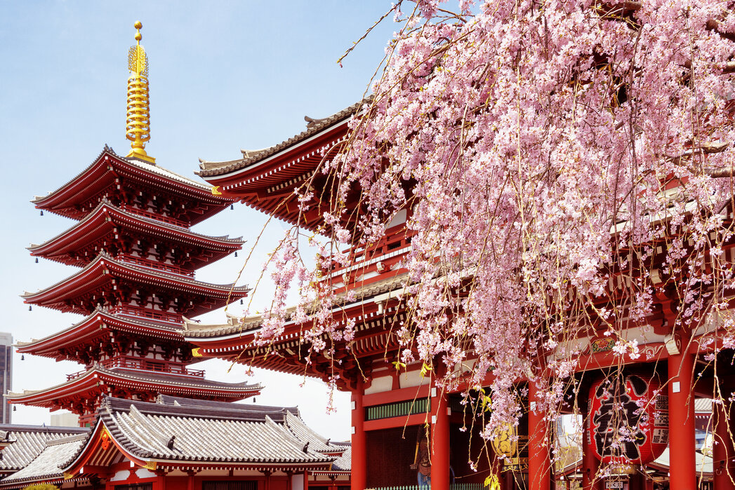 Tempio Senso-ji ad Asakusa, Tokyo