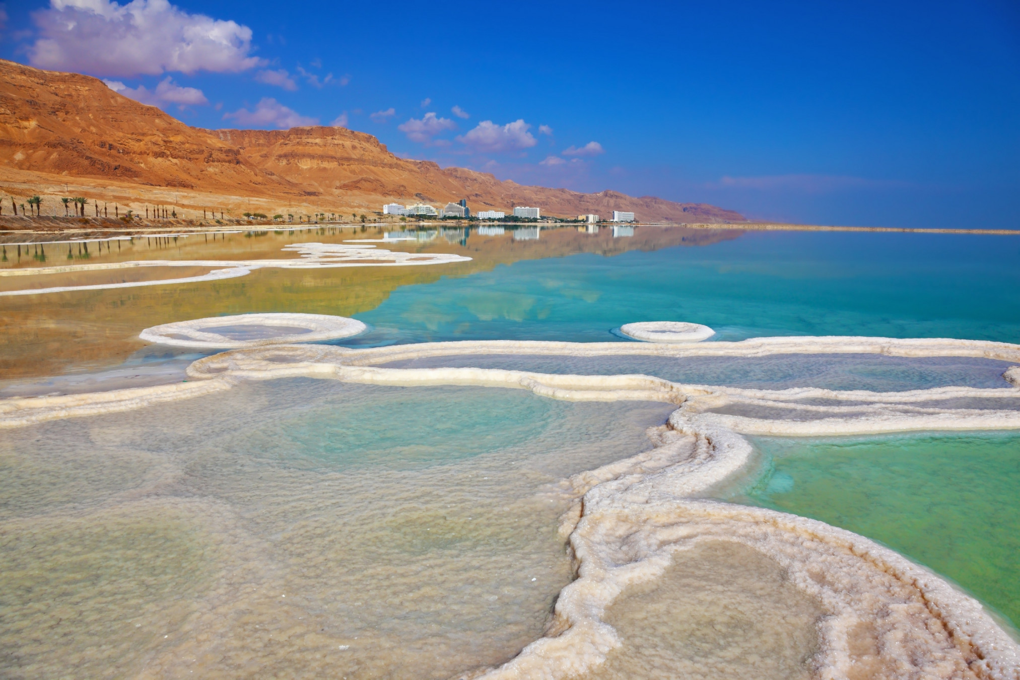 Persona che galleggia nel Mar Morto