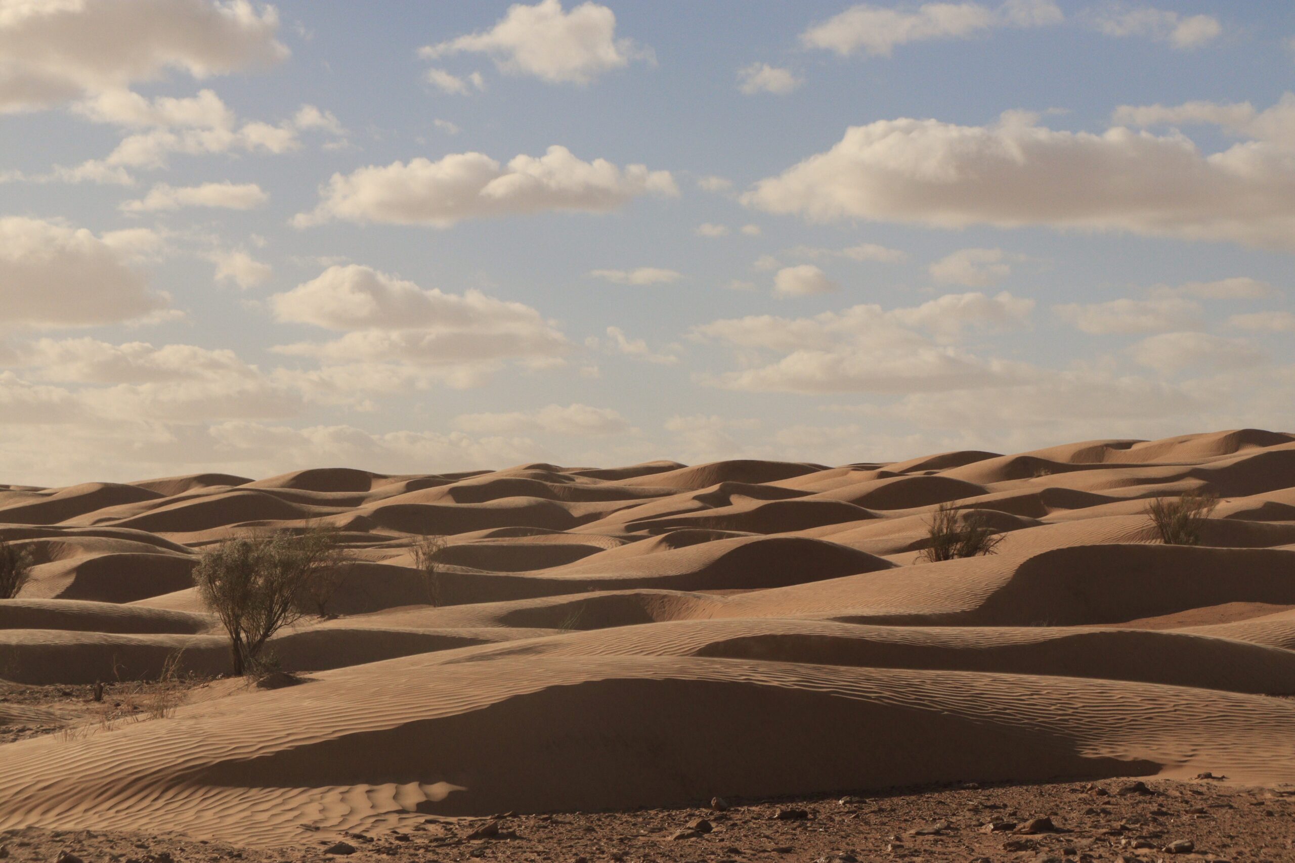 Case Troglodite Matmata