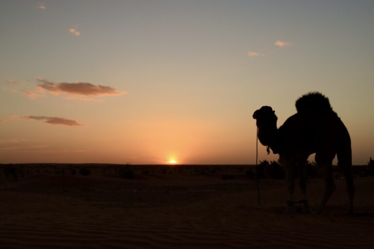 Itinerario In Tunisia Di 10 Giorni